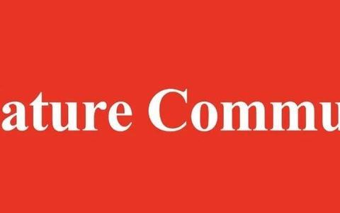 KAUST张华彬教授,新发Nature子刊!铜单原子催化剂用于CH4选择性光氧化制HCHO